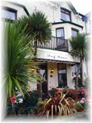 Surf Haven Guest House B&B,  Bude